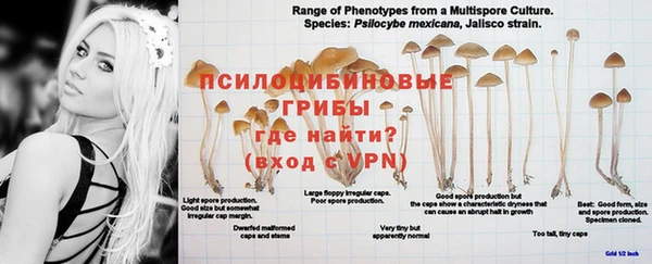 мет Балахна